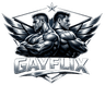 GayFlix