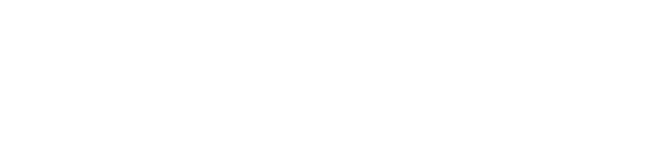 Raging Stallion Studios logo